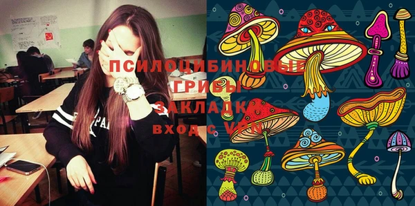 а пвп мука Навашино