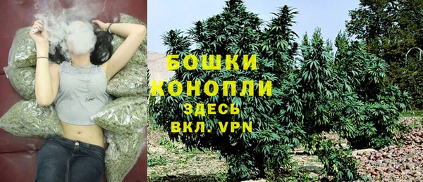 амф Надым