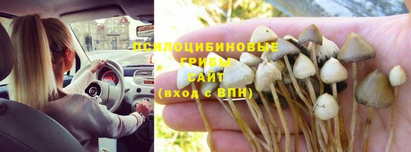 амф Надым