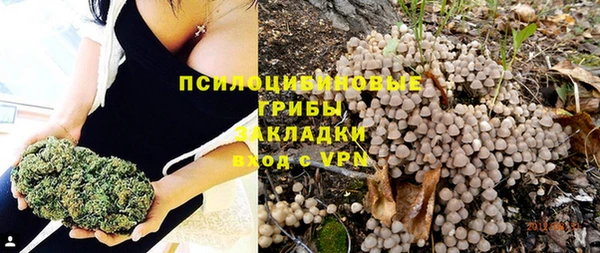 не бодяженный Абдулино