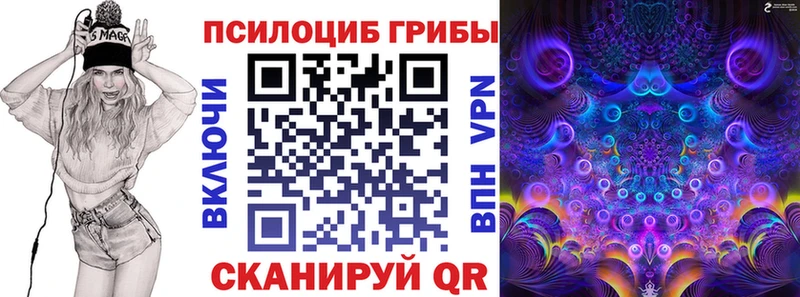 Галлюциногенные грибы прущие грибы  где купить наркоту  darknet официальный сайт  Томилино 